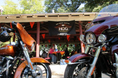 Chapter Picnic 2020