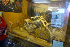 DSC00160