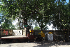 DSC00174