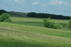 DSC00213