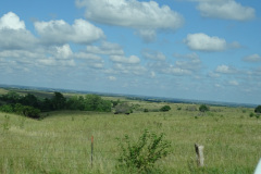 DSC00220