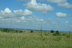 DSC00221