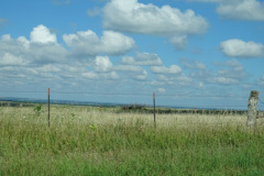DSC00222