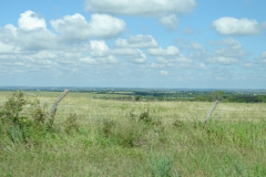DSC00223