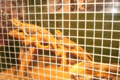 DoorCountyRideDan-037