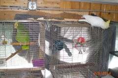 DoorCountyRideDan-038