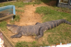 DoorCountyRideDan-050