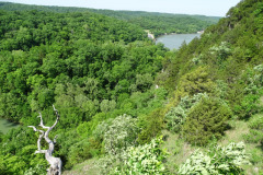 1_DSC00053