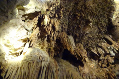 DSC00088