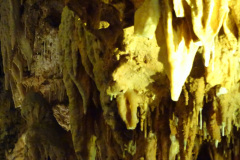 DSC00126