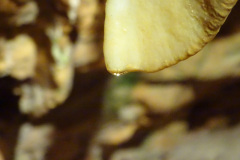 DSC00141