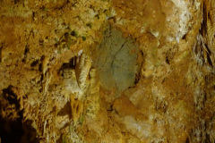 DSC00148