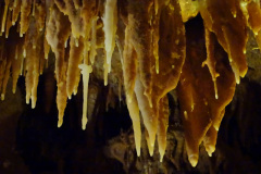 DSC00150
