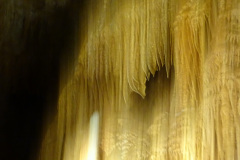 DSC00151