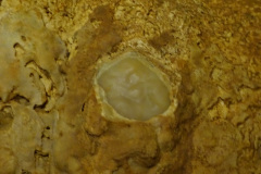 DSC00153