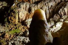DSC00156