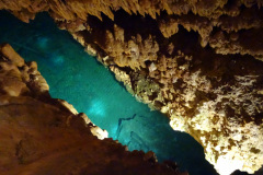 DSC00157