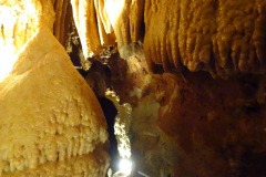 DSC00172