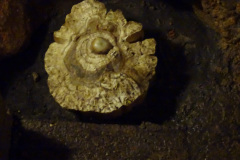 DSC00175