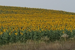 20210806_094222