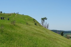 DSC00013