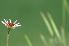 DSC00021